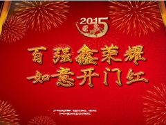 中国人寿鑫如意十二卖点13页.ppt