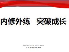 内修外练突破成长未来的企业家15页.ppt