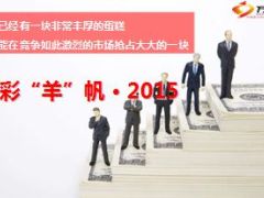 分公司2015年发展规划主旨报告37页.ppt