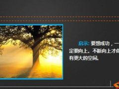 大树理论让我们更好成长11页.ppt
