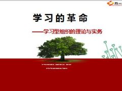 学习型组织的理论与实务57页.ppt