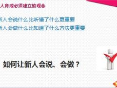 新人育成体系运作执行要点31页.ppt