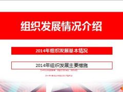 2014年分公司组织发展基本情况主要措施17页.ppt