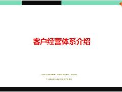 优秀分公司个险客户经营体系介绍50页.ppt