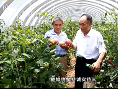 视频微电影河南国寿刘军生赤子诚心.rar