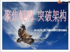鲲鹏无压力营销培训总结27页.ppt