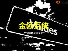 新人金领培训系统介绍宣导35页.ppt