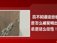 每日快乐早会14年12月20日使用14页.ppt