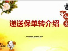 递送保单转介绍11页.ppt