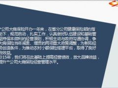 2015年大病保险经营思路汇报10页.ppt