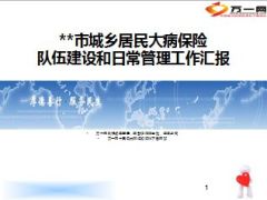 城乡居民大病保险队伍建设和日常管理工作汇报20页.ppt