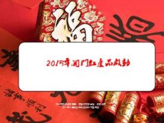 2015年开门红产品启动新华金彩一生44页.ppt