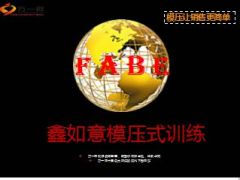 中国人寿鑫如意模压式训练61页.ppt