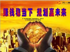 理财养老综合产说会新华金彩一生76页.ppt