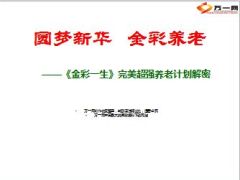 新华人寿金彩一生养老案例解读18页.ppt