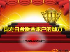 国寿白金版金账户的魅力17页.ppt