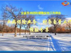 大病保险业务财务自查工作经验分享16页.ppt