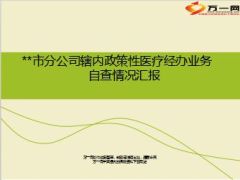 辖内政策性医疗经办业务自查情况汇报14页.ppt