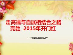 走高端与自展相结合之路8页.ppt