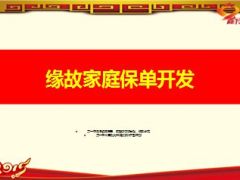 缘故家庭保单开发11页.ppt