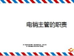 电销主管的职责20页.ppt