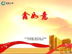 国寿鑫如意保险亮点解析案例29页.ppt