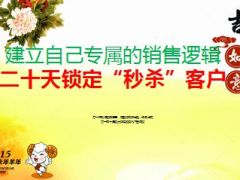 分享建立自己专属的销售逻辑20天秒杀客户24页.ppt