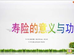 新版寿险的意义与功用84页.ppt