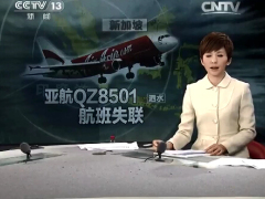 视频CCTV马来西亚亚航QZ8501航班失联.rar