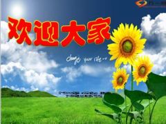 新人职场五天专项训练计划7页.ppt