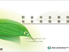 职业年金培训材料27页.ppt