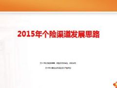 2015年个险渠道发展思路27页.ppt