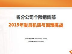 个险销售部2015年发展机遇与困难挑战10页.ppt