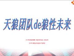 收展优秀团队分享狼性未来26页.ppt