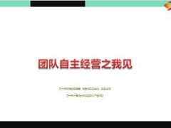 团队自主经营之我见25页.ppt