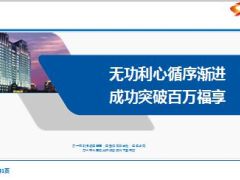 分享新华福享一生百万大单13页.ppt