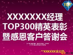 个人专场精英表彰感恩客户答谢会流程50页.ppt