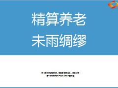 精算养老产说会新华金彩一生52页.ppt