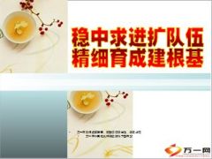 支公司队伍建设基础管理经验分享32页.ppt
