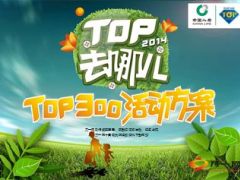 2015年度TOP300活动方案宣导14页.ppt