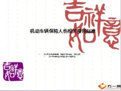 机动车辆保险人伤相关费用标准29页.ppt