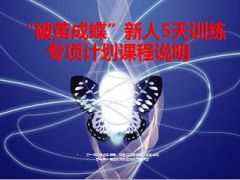 破茧成蝶新人职场训练课程说明22页.ppt