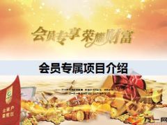 会员专属项目介绍7页.ppt