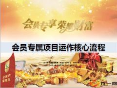 会员专属项目运作核心流程20页.ppt