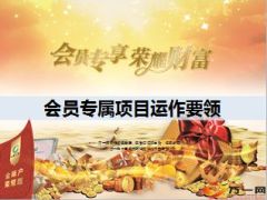 会员专属项目运作要领30页.ppt