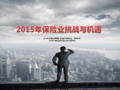 2015年保险业挑战与机遇25页.ppt