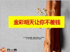 新华金彩一生让你明天不差钱16页.ppt