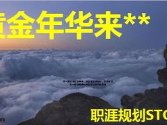 黄金年华来做保险宣导片44页.ppt