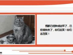 每日快乐早会15年1月8日使用15页.ppt