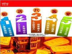 合众人寿大盈家利益宣导32页.ppt